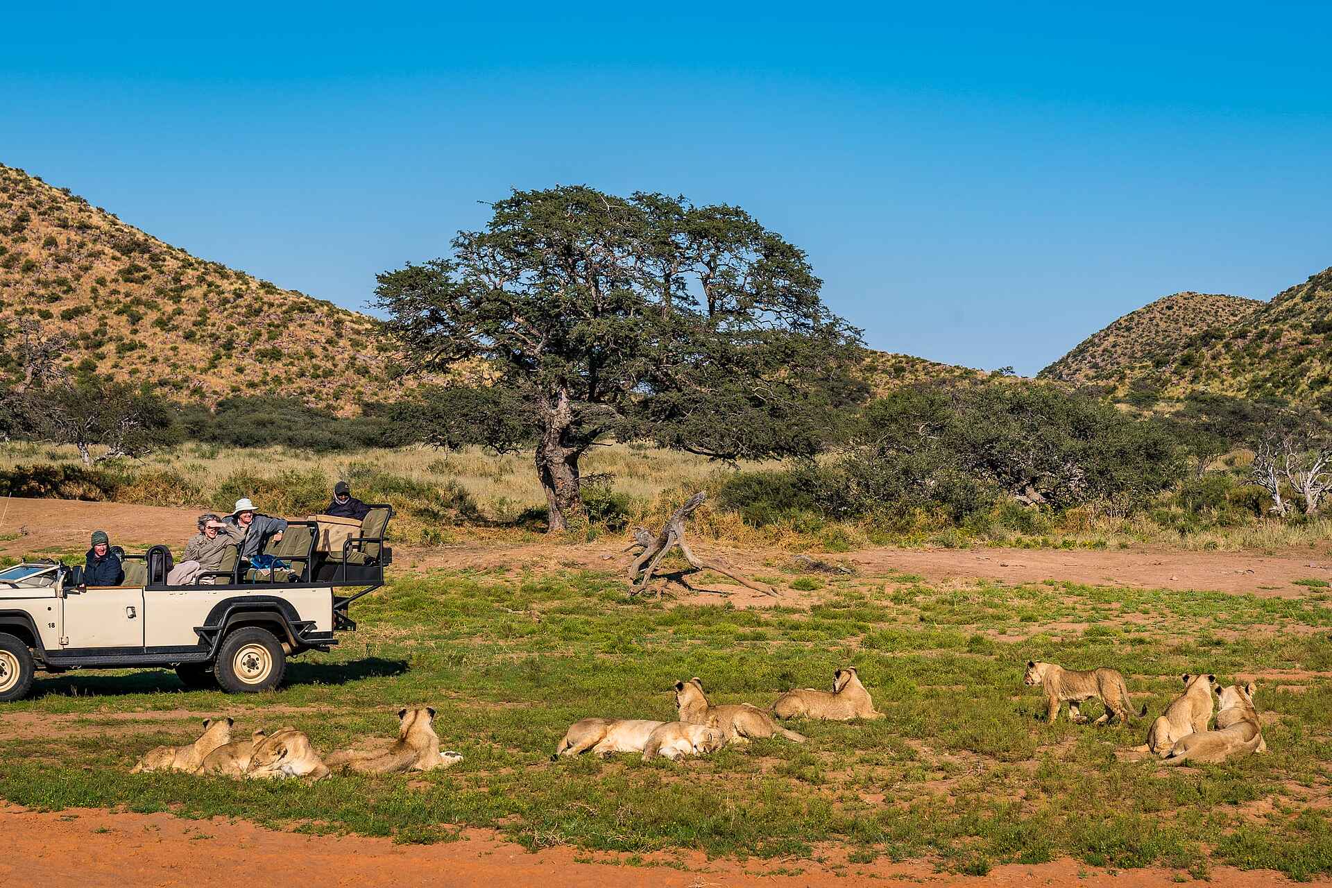 The Motse Tswalu: Auf Pirschfahrt