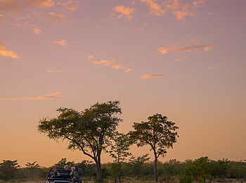 Inyati Game Lodge: Abenddämmerung