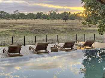 Lion Camp: Swimmingpool