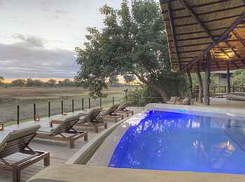 Lion Camp: Swimmingpool und Liegen