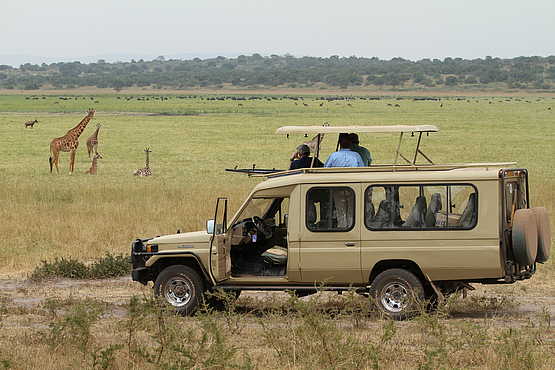 Ruzizi Tented Lodge: Auf Pirschfahrt im Akagera Nationalpark Ruzizi Tented Lodge: Auf Pirschfahrt im Akagera Nationalpark
