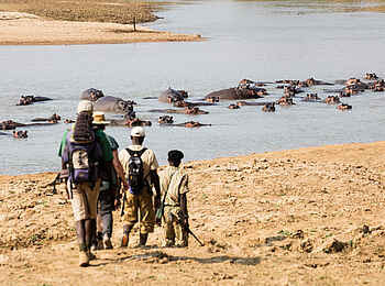 Takwela Camp: Walking-Safari-Gruppe Takwela Camp: Walking-Safari-Gruppe