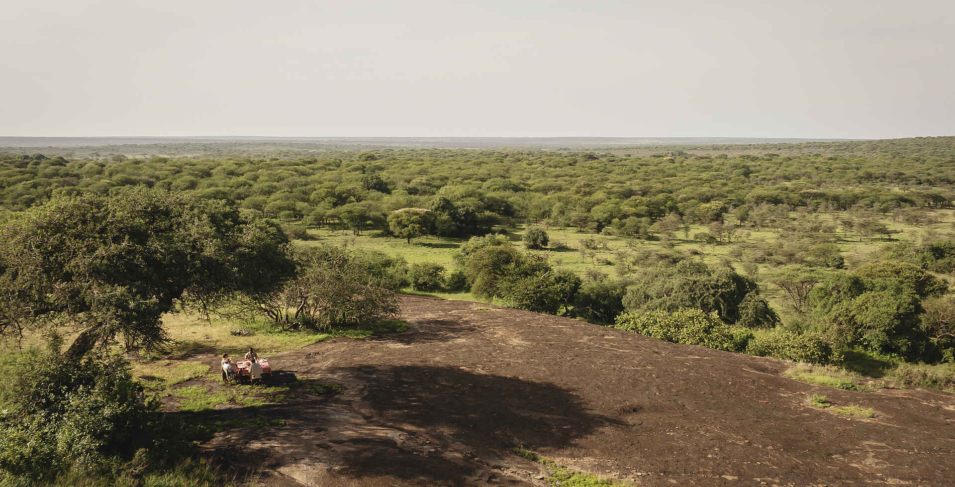 Charlie Serengeti Safari Camp: Dinner im Bush