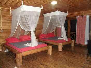 Cormoran Lodge: Einzelbetten