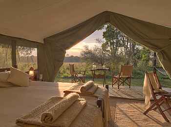 Elephant Pepper Camp: offenes Zelt Elephant Pepper Camp: offenes Zelt