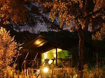 Elephant Valley Lodge: Gästezelt am Abend Elephant Valley Lodge: Gästezelt am Abend