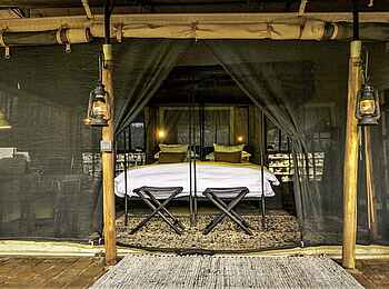 Forest Chem Chem: Gästezelt mit Moskitonetz Forest Chem Chem: Gästezelt mit Moskitonetz