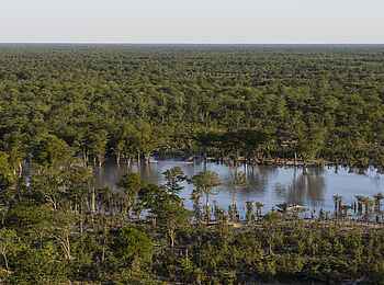 Elephant Pan Camp: Die Lage im Delta Elephant Pan Camp: Die Lage im Delta
