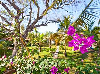 Ibo Island Lodge: Gartenimpression