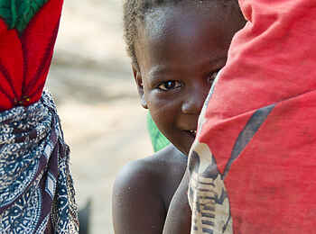 Mkulumadzi Lodge: Scheues Kind