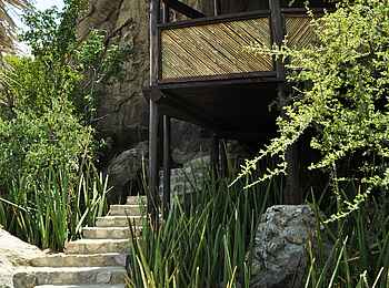 Olduvai Camp: Aufgang zur Lounge