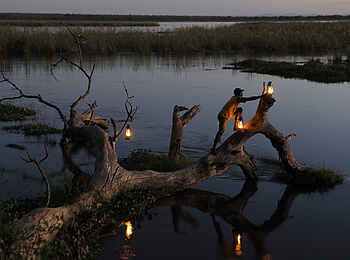 Sausage Tree Camp: Abendbeleuchtung