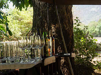 Wayo Manyara Green Camp: Safari Bar