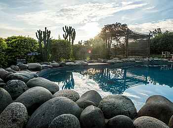 Volcanoes Kyambura Gorge Lodge: Felsen am Pool Volcanoes Kyambura Gorge Lodge: Felsen am Pool