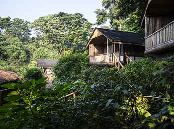 Buhoma Lodge: Gästechalets zwischen Bäumen