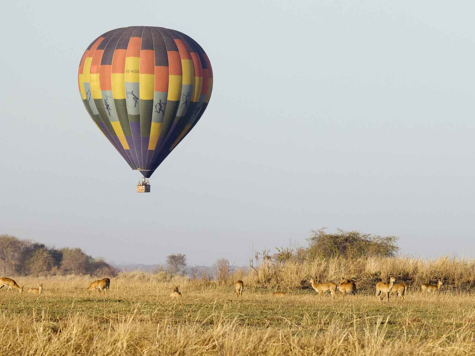 Busanga Bush Camp: Ballonsafari Busanga Bush Camp: Ballonsafari