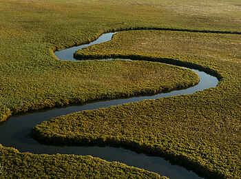 Duba Plains Camp: Nqoga River