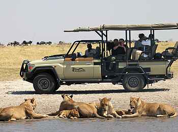 Ghoha Hills Savuti Lodge: Pirschfahrt