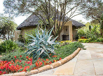 Governors' Mugie: Der Weg zum Bungalow Governors' Mugie: Der Weg zum Bungalow