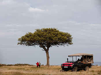 Hemingways River Camp Mara: Game Drive