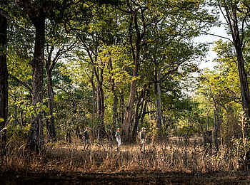 Kulandila Camp: Wandersafari Kulandila Camp: Wandersafari