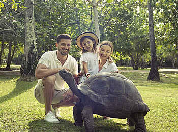 North Island: Schildkröte Brutus trifft auf eine Familie