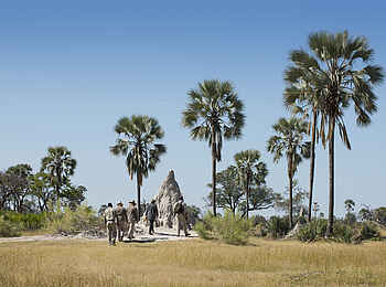 Nxabega Okavango Tented Camp: Safari zu Fuß