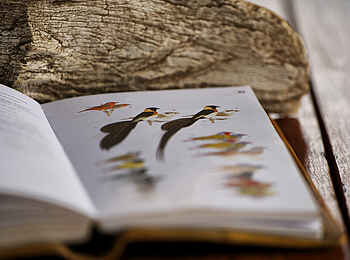 Rekero Camp: Lektüre im Camp Rekero Camp: Lektüre im Camp