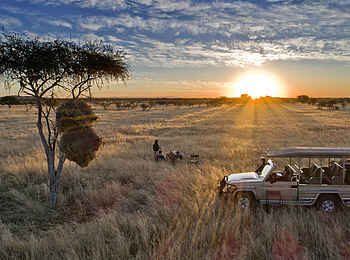 Safarihoek Lodge: Game Drive