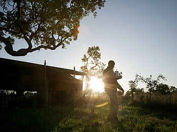 Serengeti Safari Camp: Morgenkaffee