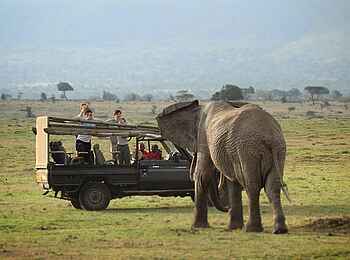 Serian's Nkorombo Mobile Camp: Elefant