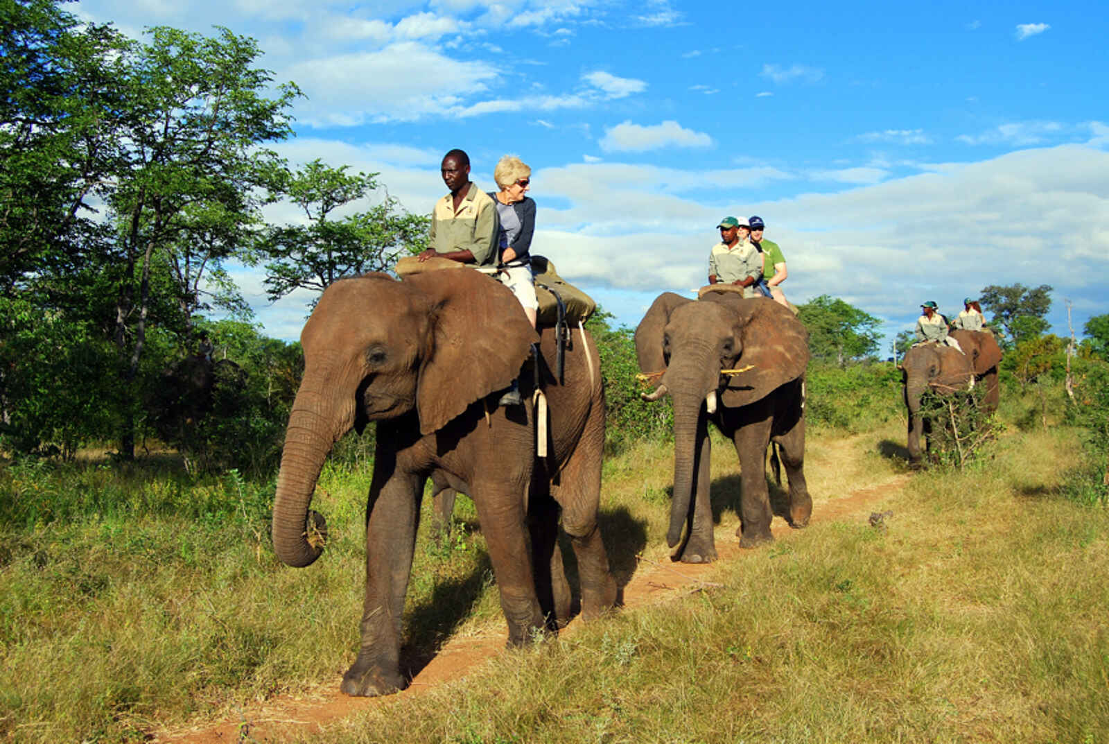 Taita Falcon Lodge: Elefantensafari Taita Falcon Lodge: Elefantensafari