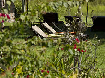 Thamalakane River Lodge: Garten Thamalakane River Lodge: Garten