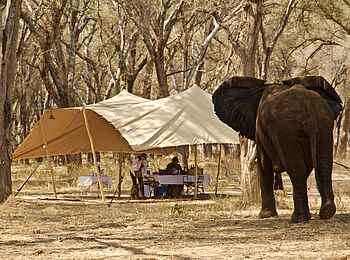 Kutali Flycamp: Blick auf das Hauptzelt Kutali Flycamp: Blick auf das Hauptzelt