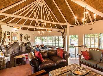 Robins Camp: Hauptbereicht mit Blick in den Garten Robins Camp: Hauptbereicht mit Blick in den Garten