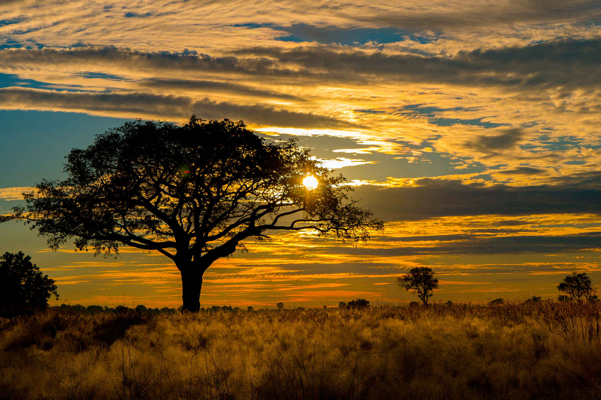 Kwando, Landschaft, Okavango Delta, Splash Camp