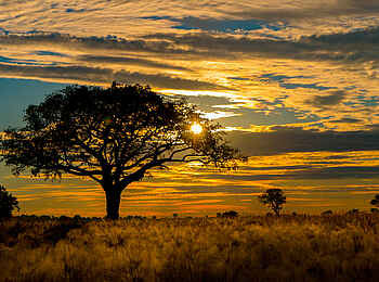 Splash Camp: Sonnenuntergang mit Landschaft