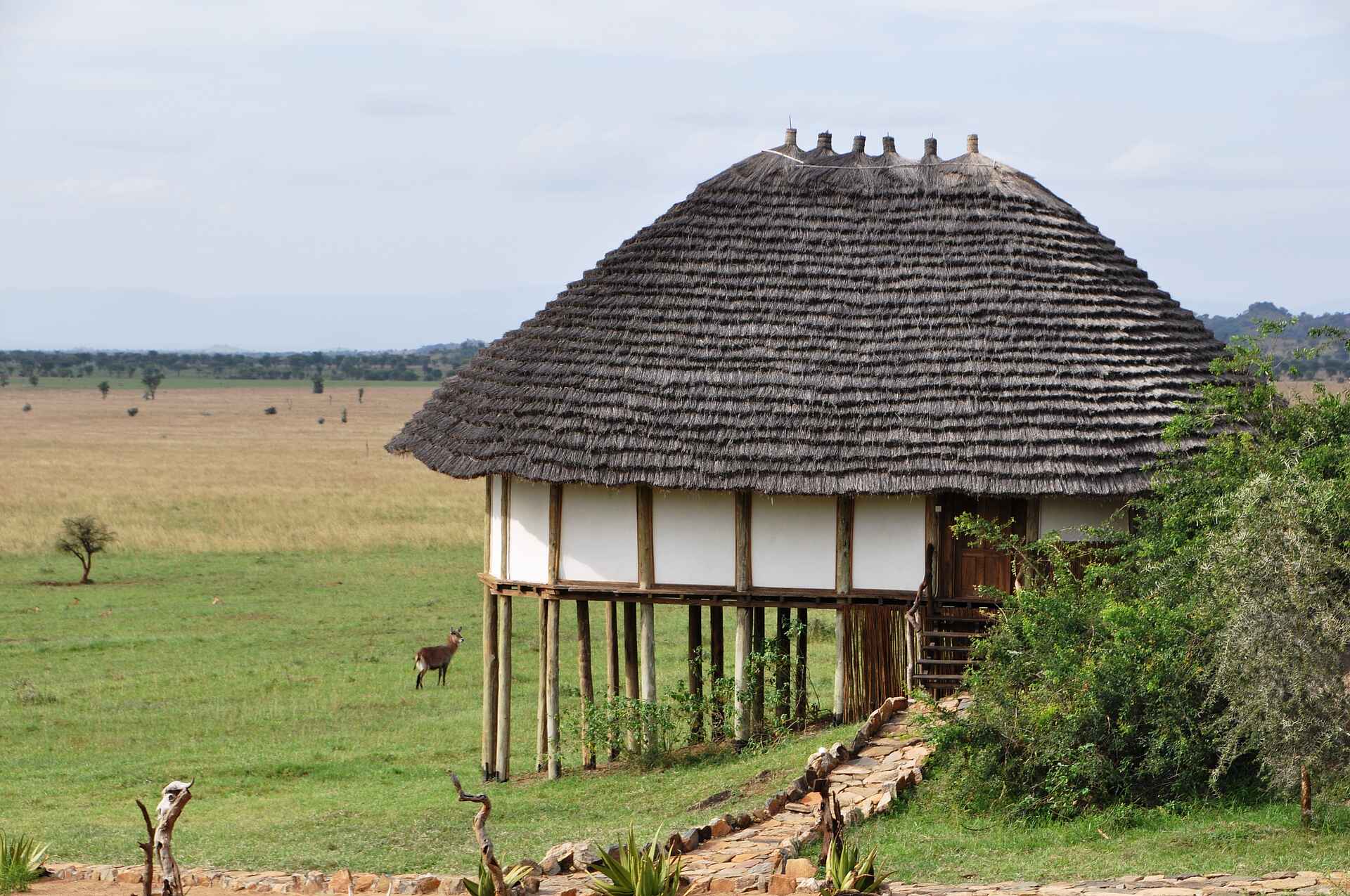 Apoka Lodge, Kidepo National Park, Kidepo Valley, Savanne, Gästechalet, Afrikarma, Afrikarma Safaris, Afrikarma.de, Wildplaces Uganda, Apoka Safari Lodge, Narus-Tal