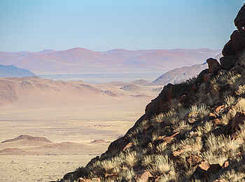 Desert Homestead Outpost: Ausblick über die Wüste