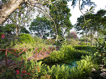 Gibbs Farm: Idyllischer Garten
