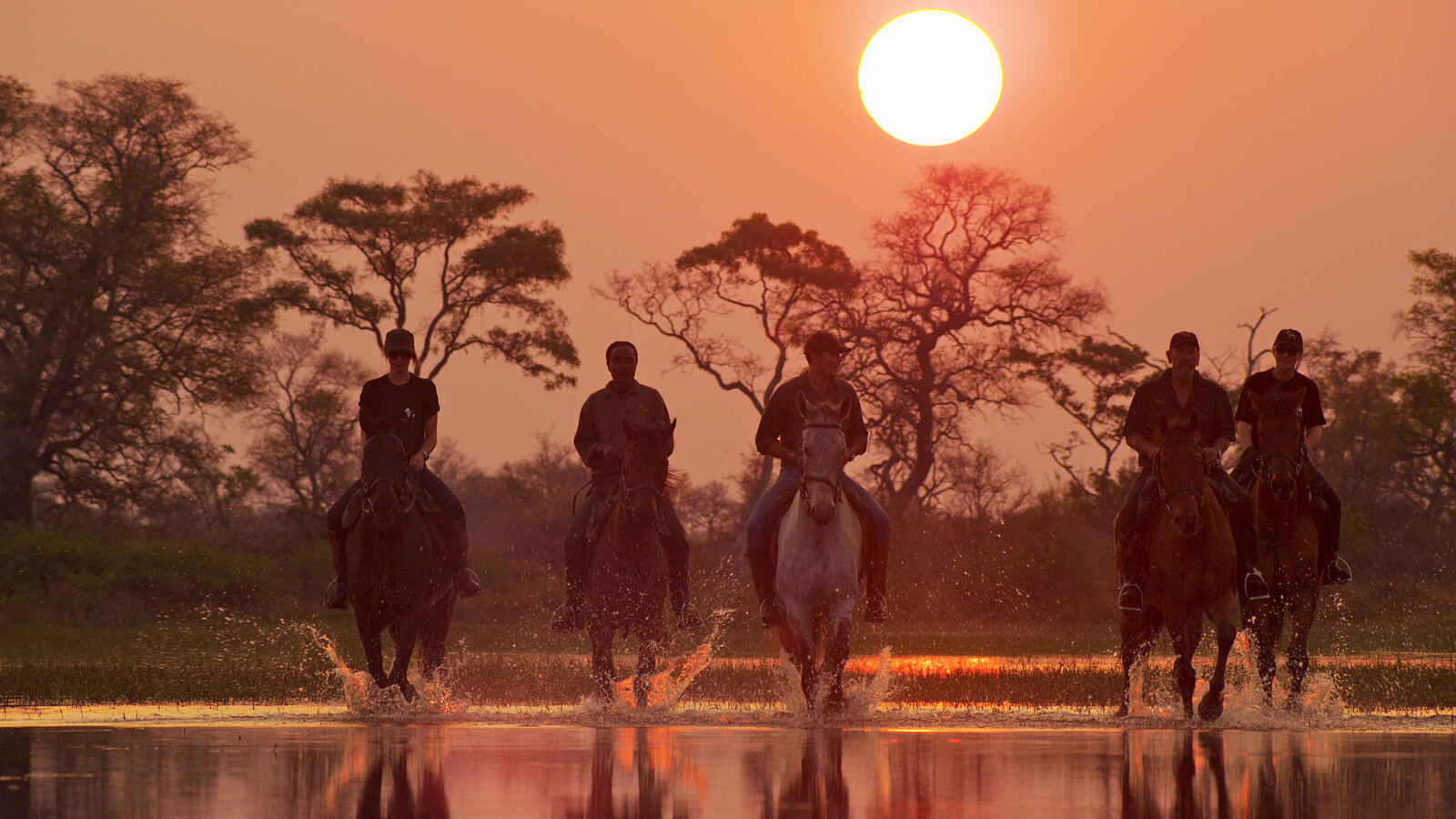 Kujwana Camp: Ausritt in der Morgenröte Kujwana Camp: Ausritt in der Morgenröte