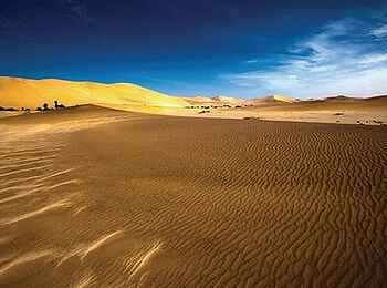 Luna Namib Collection: Sossusvlei Exkursion