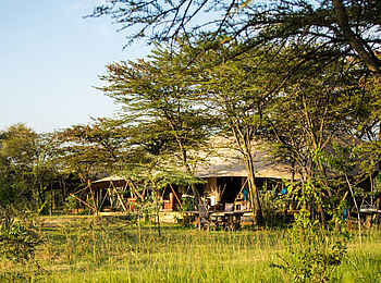 Mara Expedition Camp: Das Camp im Schatten der Bäume