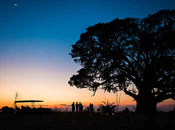 Mukambi Busanga Plains Camp: Abend im Busch Mukambi Busanga Plains Camp: Abend im Busch