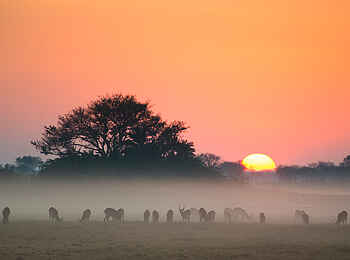 Mukambi Busanga Plains Camp: Die Sonne geht unter Mukambi Busanga Plains Camp: Die Sonne geht unter