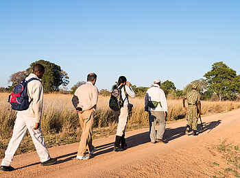 Mukambi Safari Lodge: Im Gänsemarsch Mukambi Safari Lodge: Im Gänsemarsch