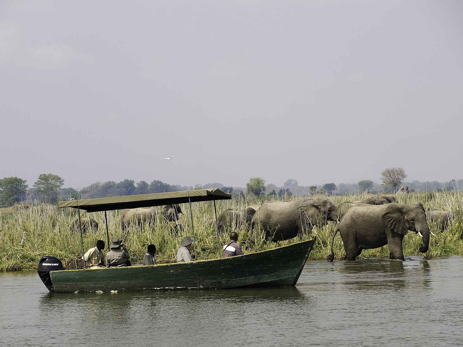 Mvuu Lodge: Safari mit dem Boot Mvuu Lodge: Safari mit dem Boot