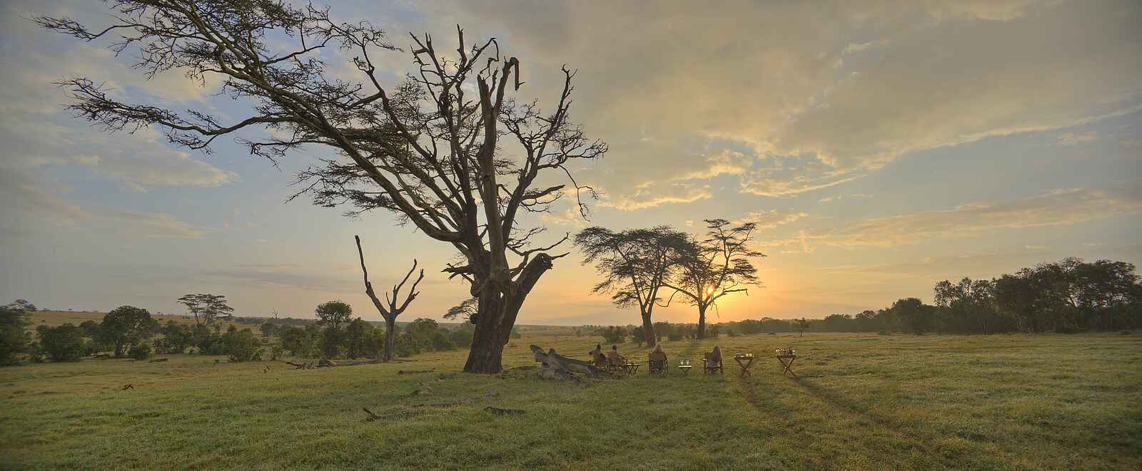 Ol Pejeta Bush Camp: Sundowner im Busch Ol Pejeta Bush Camp: Sundowner im Busch