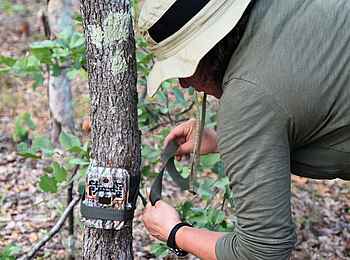 Sable Valley Lodge: Wildtier Kamera Sable Valley Lodge: Wildtier Kamera