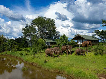 The Wallow Lodge: Besuch